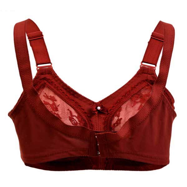 flourish-disclosure-maroon-bra-3