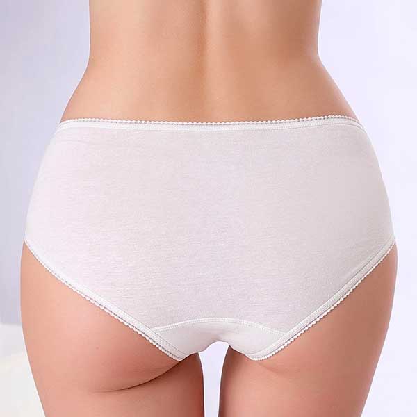 flourish-maxi-brief-fl-550-2