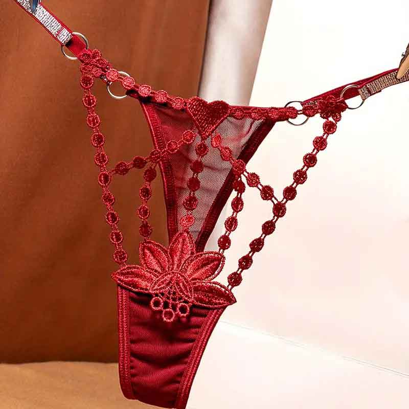 flourish-transparent-seductive-passionate-fire-hot-hollow-panties-tp-055 (2)